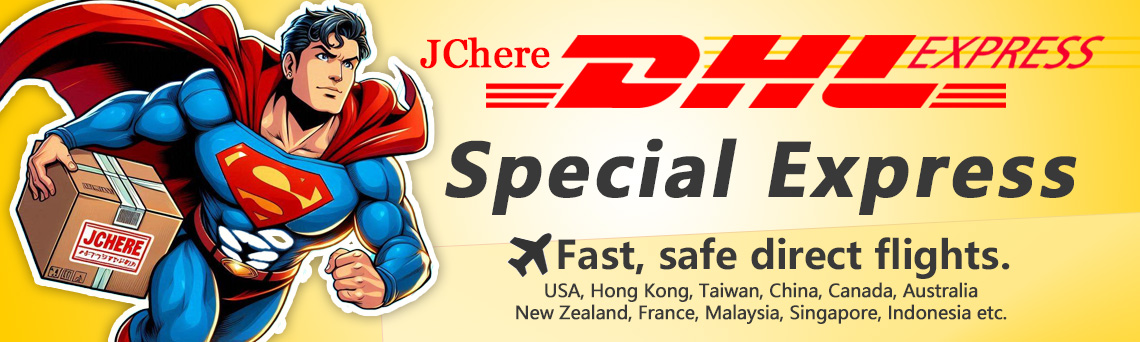 Special Express DHL shipping from Japan